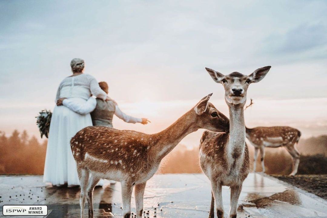 Göppingen, Germany Wedding Photographer - FineArt Weddings | Photography